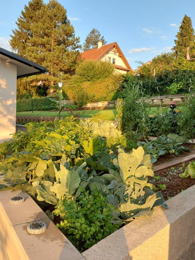 Privatzimmer Roland Hutten Eksteriør bilde