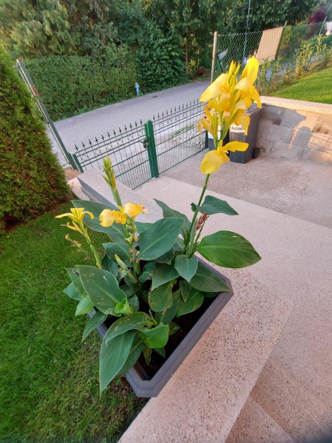Privatzimmer Roland Hutten Eksteriør bilde
